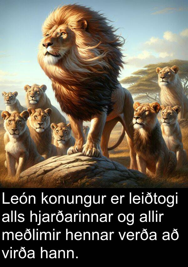 verða: León konungur er leiðtogi alls hjarðarinnar og allir meðlimir hennar verða að virða hann.