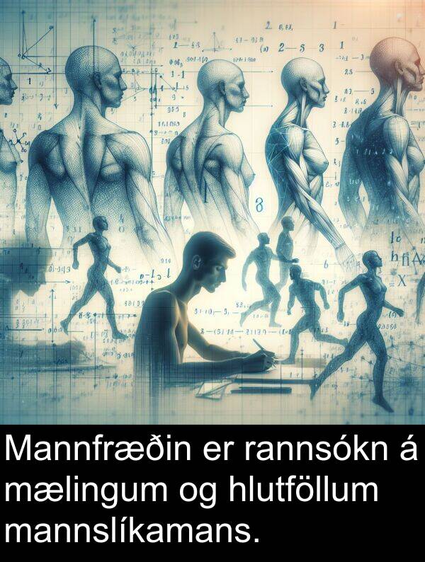 rannsókn: Mannfræðin er rannsókn á mælingum og hlutföllum mannslíkamans.