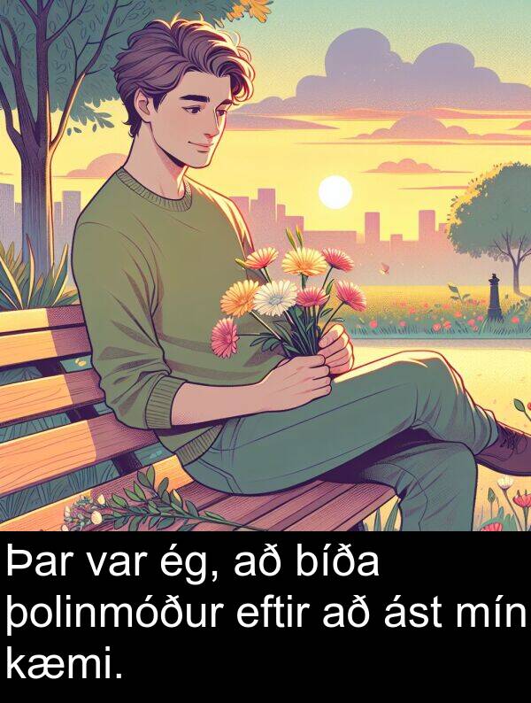 ég: Þar var ég, að bíða þolinmóður eftir að ást mín kæmi.