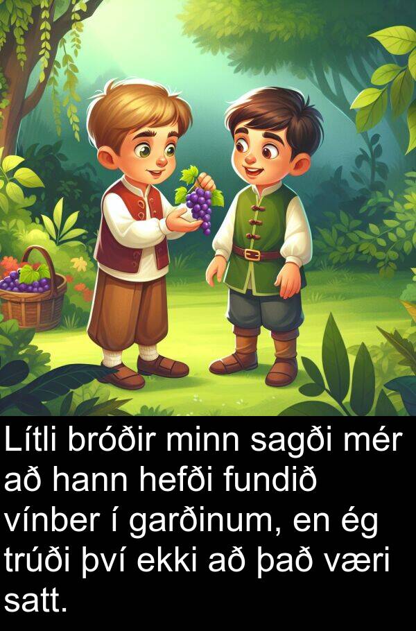 satt: Lítli bróðir minn sagði mér að hann hefði fundið vínber í garðinum, en ég trúði því ekki að það væri satt.