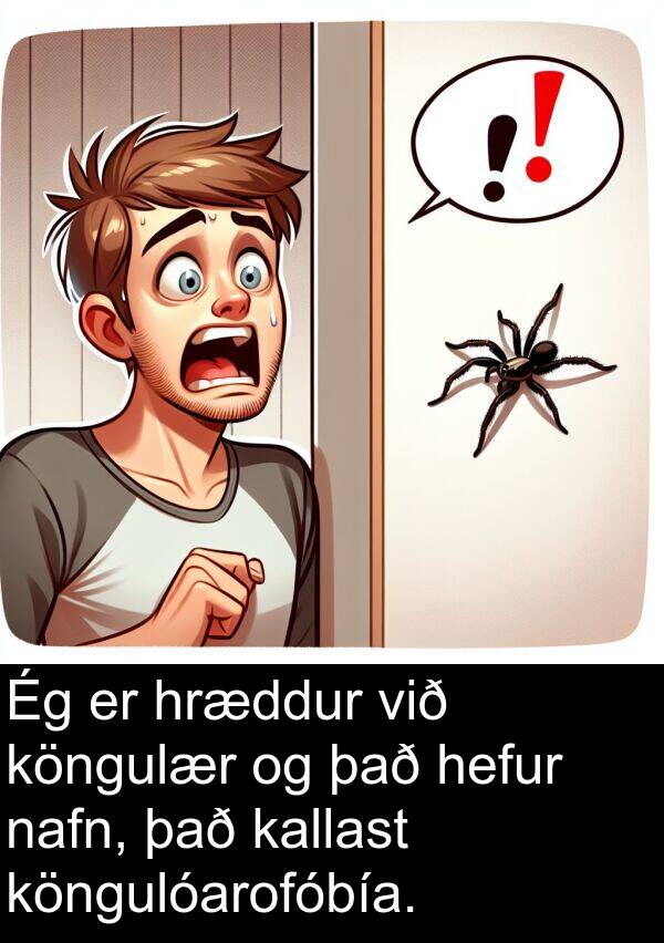kallast: Ég er hræddur við köngulær og það hefur nafn, það kallast köngulóarofóbía.