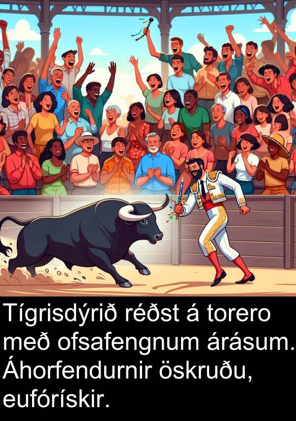öskruðu: Tígrisdýrið réðst á torero með ofsafengnum árásum. Áhorfendurnir öskruðu, eufórískir.