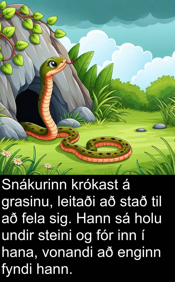 inn: Snákurinn krókast á grasinu, leitaði að stað til að fela sig. Hann sá holu undir steini og fór inn í hana, vonandi að enginn fyndi hann.