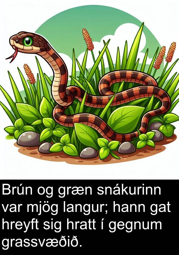 gegnum: Brún og græn snákurinn var mjög langur; hann gat hreyft sig hratt í gegnum grassvæðið.