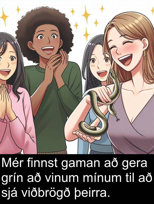 gera: Mér finnst gaman að gera grín að vinum mínum til að sjá viðbrögð þeirra.