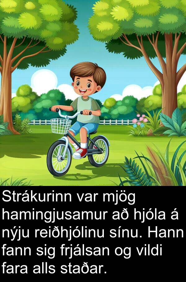 alls: Strákurinn var mjög hamingjusamur að hjóla á nýju reiðhjólinu sínu. Hann fann sig frjálsan og vildi fara alls staðar.