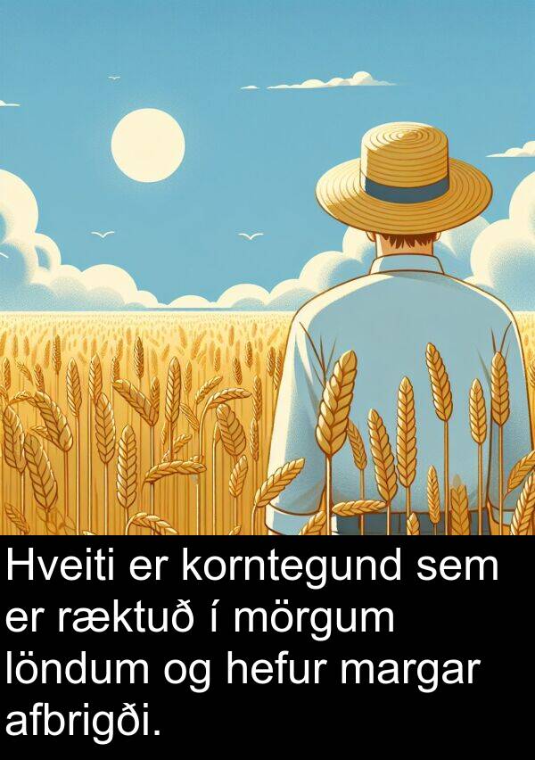 margar: Hveiti er korntegund sem er ræktuð í mörgum löndum og hefur margar afbrigði.