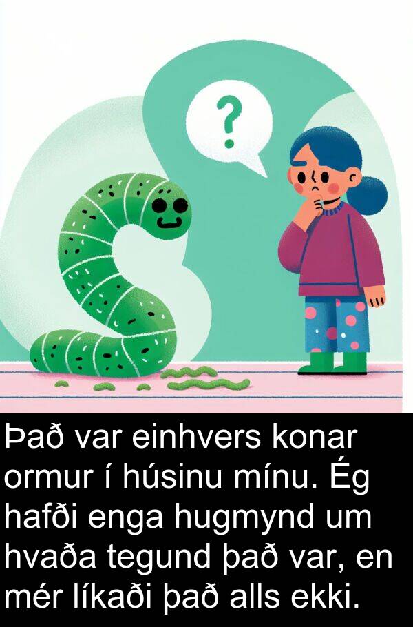 tegund: Það var einhvers konar ormur í húsinu mínu. Ég hafði enga hugmynd um hvaða tegund það var, en mér líkaði það alls ekki.
