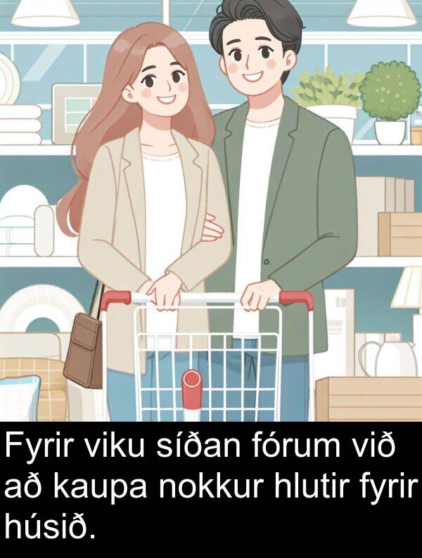 kaupa: Fyrir viku síðan fórum við að kaupa nokkur hlutir fyrir húsið.