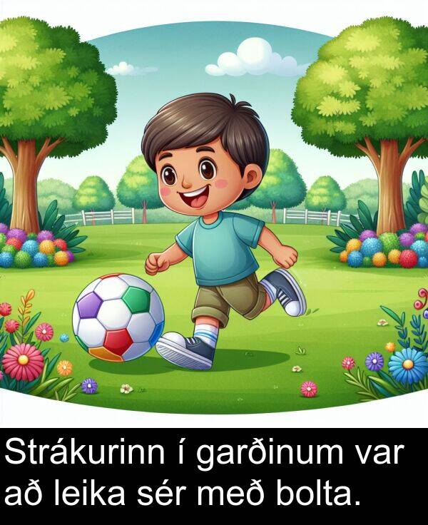 sér: Strákurinn í garðinum var að leika sér með bolta.