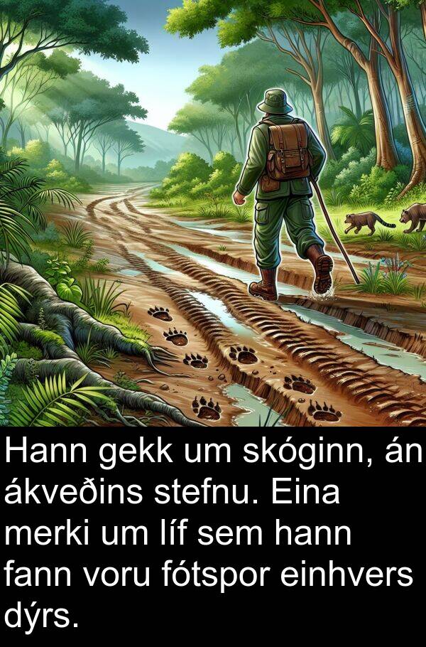 gekk: Hann gekk um skóginn, án ákveðins stefnu. Eina merki um líf sem hann fann voru fótspor einhvers dýrs.