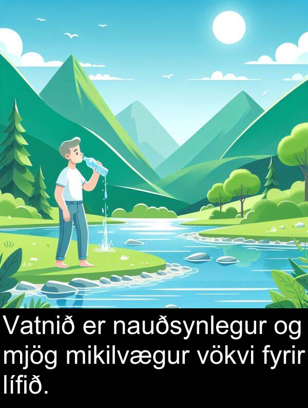 nauðsynlegur: Vatnið er nauðsynlegur og mjög mikilvægur vökvi fyrir lífið.
