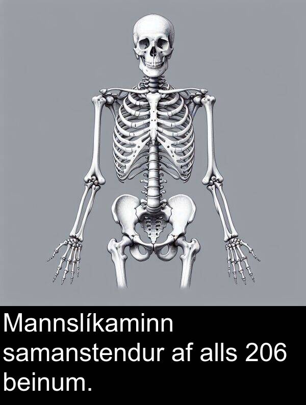 alls: Mannslíkaminn samanstendur af alls 206 beinum.