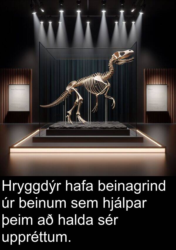 þeim: Hryggdýr hafa beinagrind úr beinum sem hjálpar þeim að halda sér uppréttum.