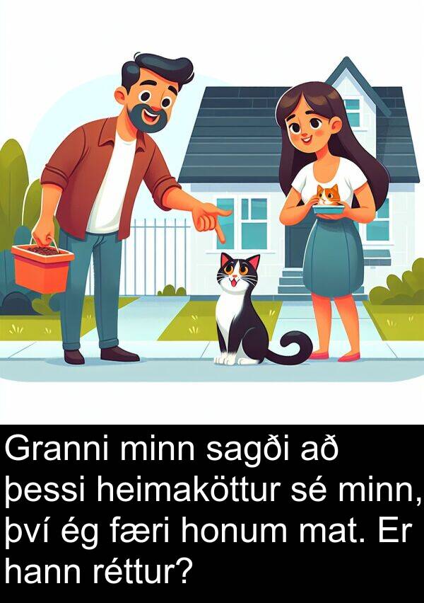 þessi: Granni minn sagði að þessi heimaköttur sé minn, því ég færi honum mat. Er hann réttur?