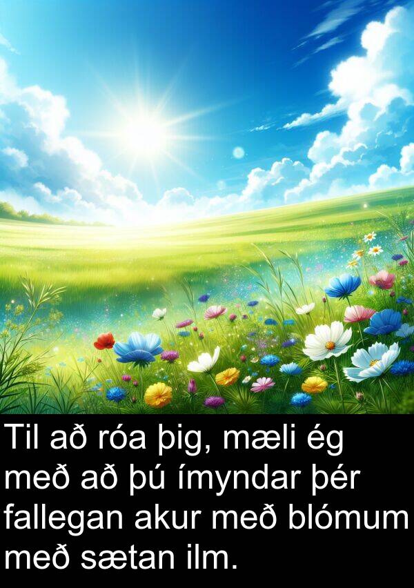þig: Til að róa þig, mæli ég með að þú ímyndar þér fallegan akur með blómum með sætan ilm.