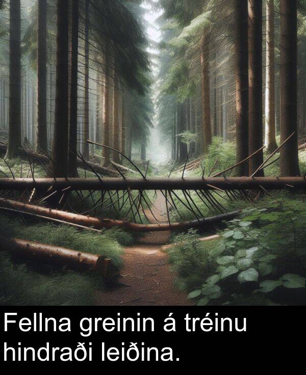 hindraði: Fellna greinin á tréinu hindraði leiðina.