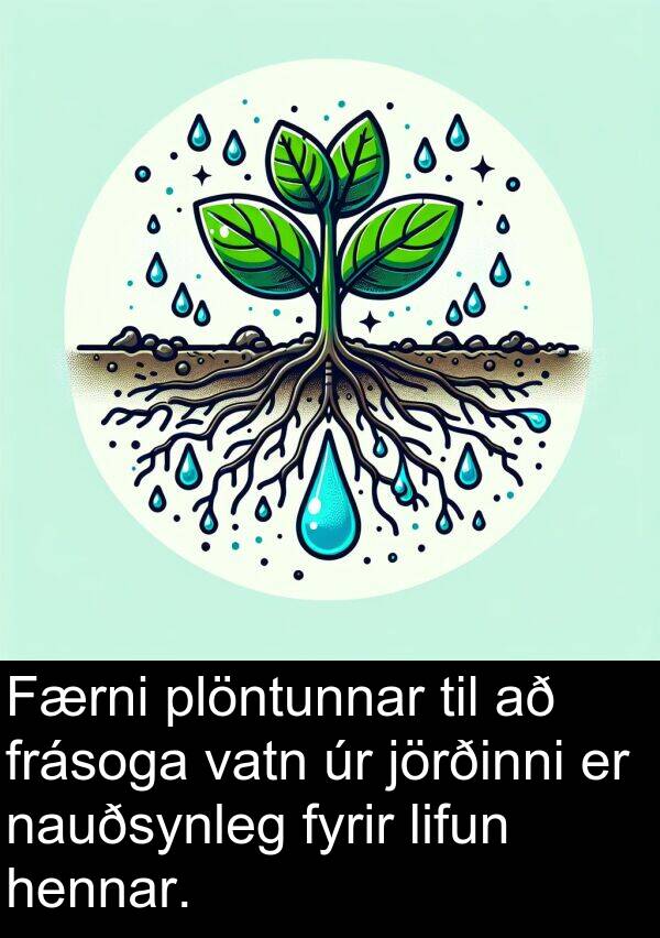 jörðinni: Færni plöntunnar til að frásoga vatn úr jörðinni er nauðsynleg fyrir lifun hennar.