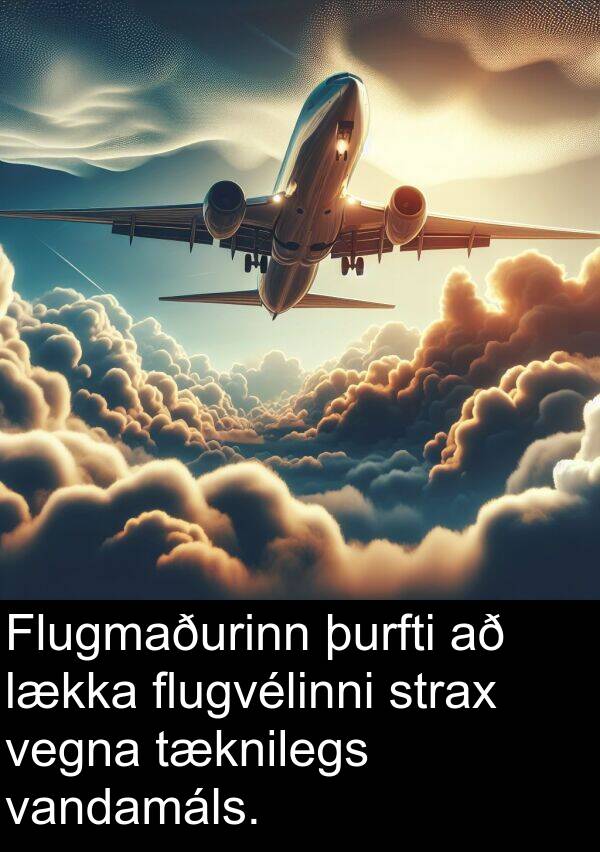þurfti: Flugmaðurinn þurfti að lækka flugvélinni strax vegna tæknilegs vandamáls.