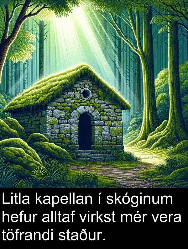 kapellan: Litla kapellan í skóginum hefur alltaf virkst mér vera töfrandi staður.