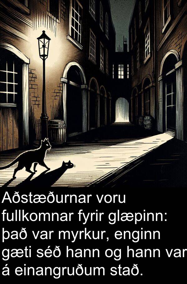 einangruðum: Aðstæðurnar voru fullkomnar fyrir glæpinn: það var myrkur, enginn gæti séð hann og hann var á einangruðum stað.