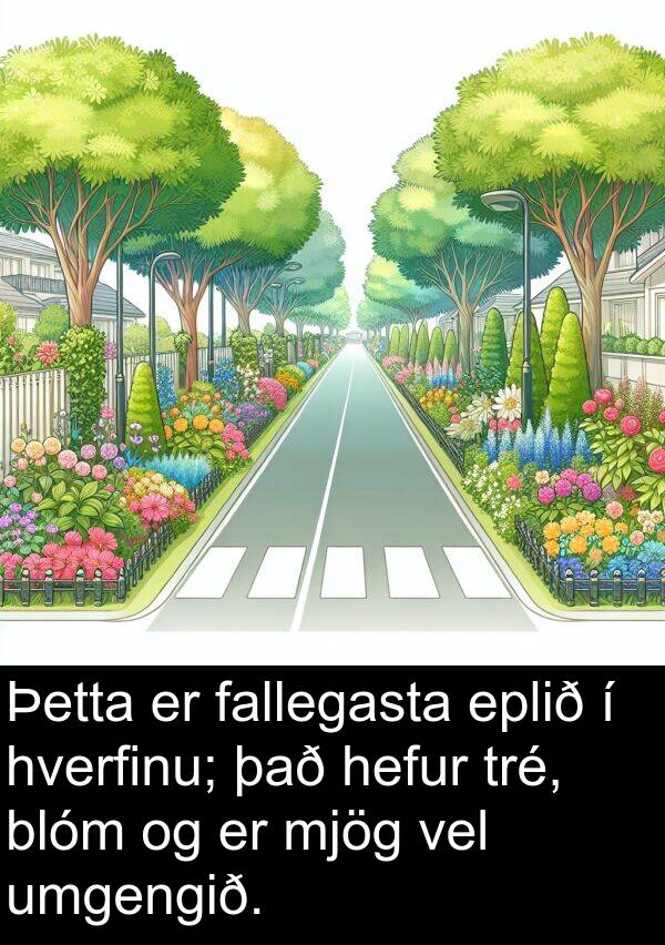 fallegasta: Þetta er fallegasta eplið í hverfinu; það hefur tré, blóm og er mjög vel umgengið.