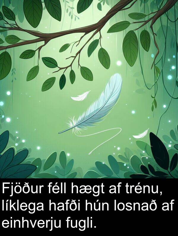 féll: Fjöður féll hægt af trénu, líklega hafði hún losnað af einhverju fugli.