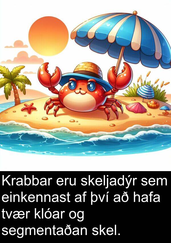 einkennast: Krabbar eru skeljadýr sem einkennast af því að hafa tvær klóar og segmentaðan skel.