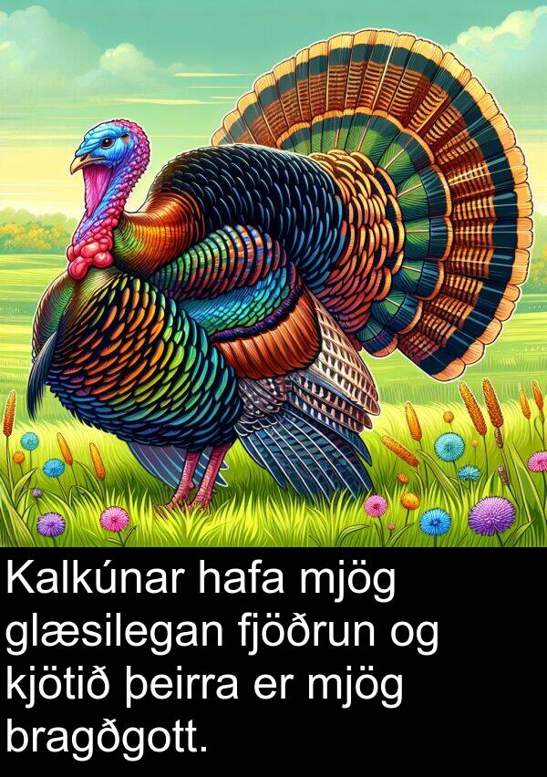 kjötið: Kalkúnar hafa mjög glæsilegan fjöðrun og kjötið þeirra er mjög bragðgott.