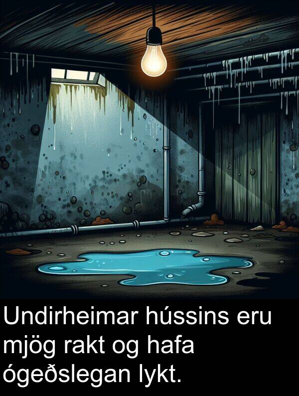 ógeðslegan: Undirheimar hússins eru mjög rakt og hafa ógeðslegan lykt.