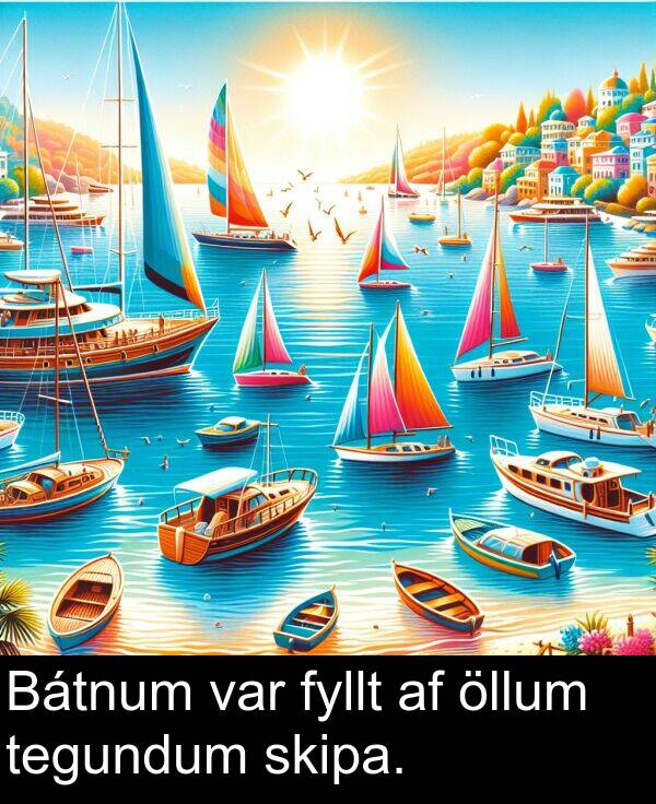 öllum: Bátnum var fyllt af öllum tegundum skipa.