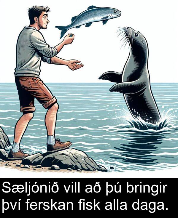 því: Sæljónið vill að þú bringir því ferskan fisk alla daga.