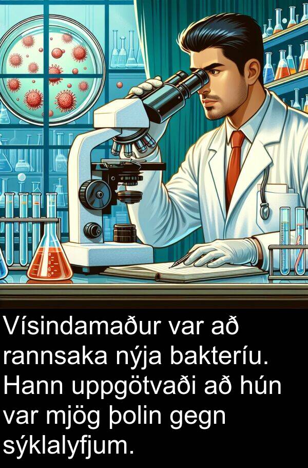 þolin: Vísindamaður var að rannsaka nýja bakteríu. Hann uppgötvaði að hún var mjög þolin gegn sýklalyfjum.