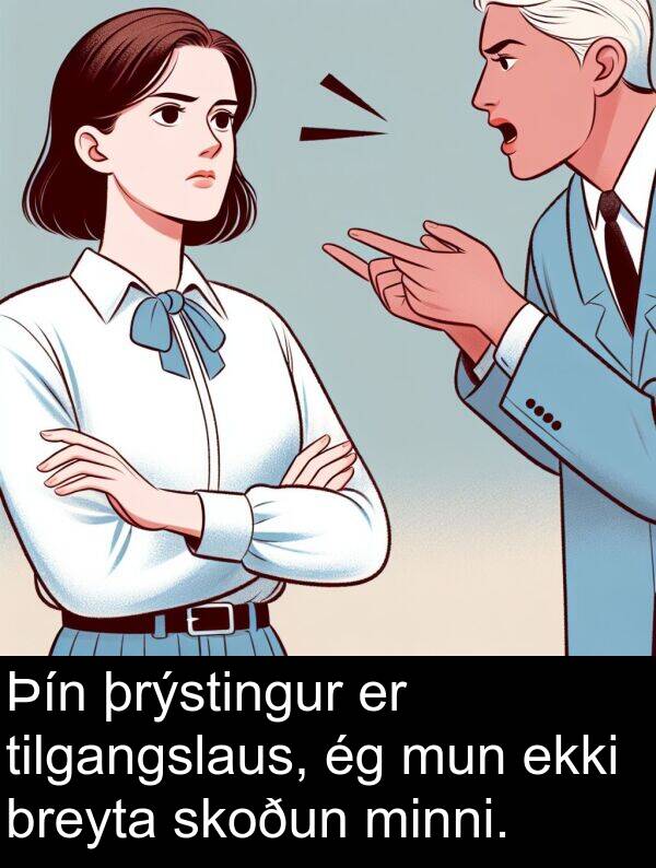 skoðun: Þín þrýstingur er tilgangslaus, ég mun ekki breyta skoðun minni.