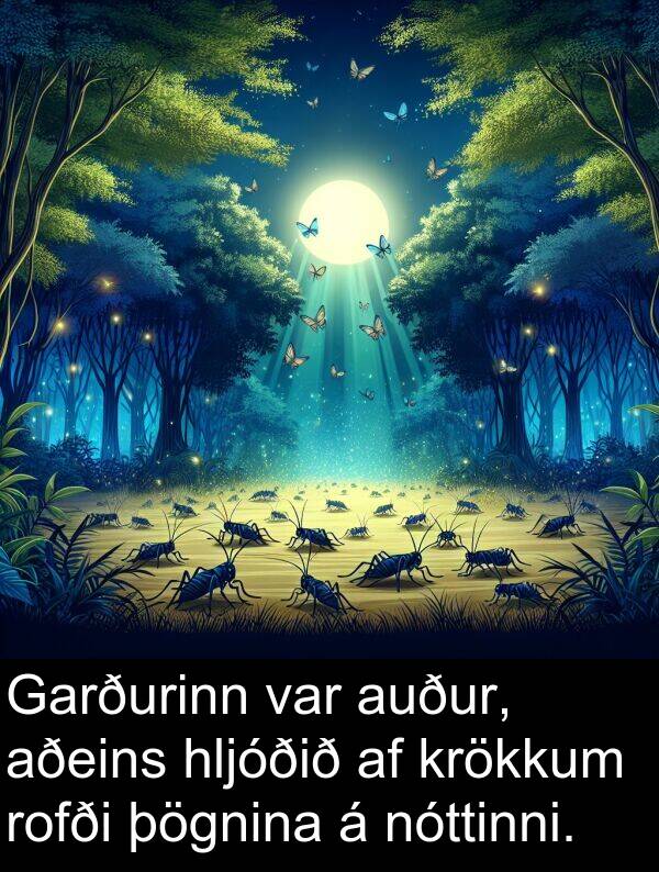 þögnina: Garðurinn var auður, aðeins hljóðið af krökkum rofði þögnina á nóttinni.