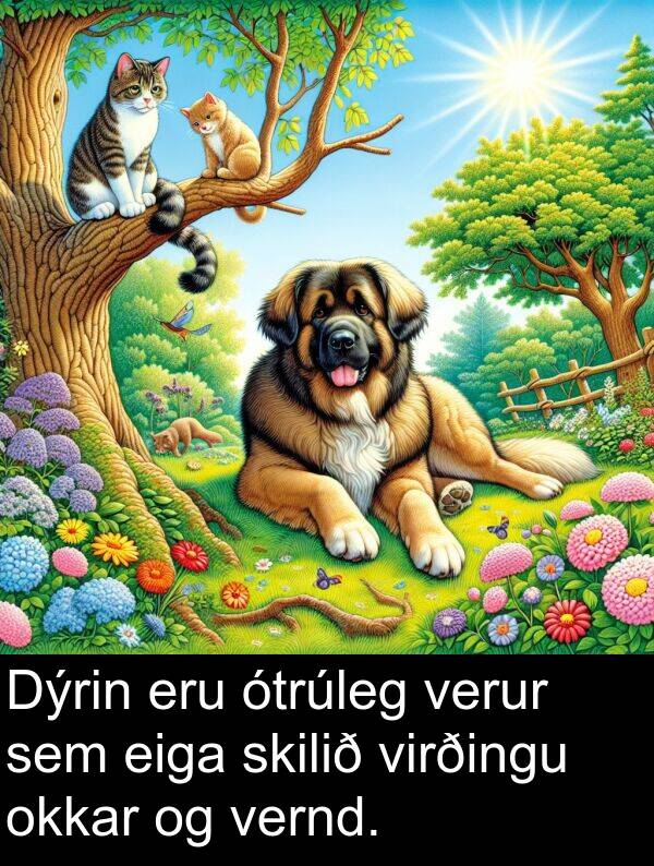 verur: Dýrin eru ótrúleg verur sem eiga skilið virðingu okkar og vernd.