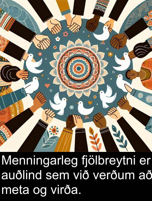 meta: Menningarleg fjölbreytni er auðlind sem við verðum að meta og virða.
