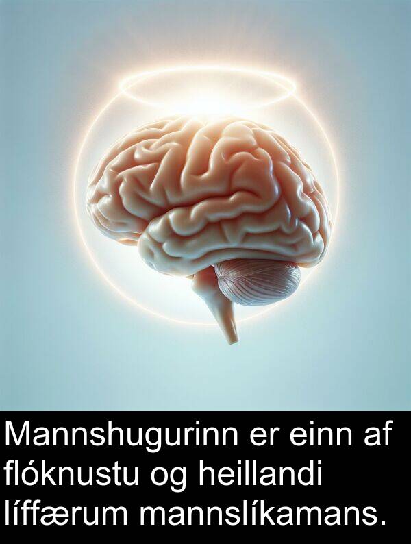 einn: Mannshugurinn er einn af flóknustu og heillandi líffærum mannslíkamans.
