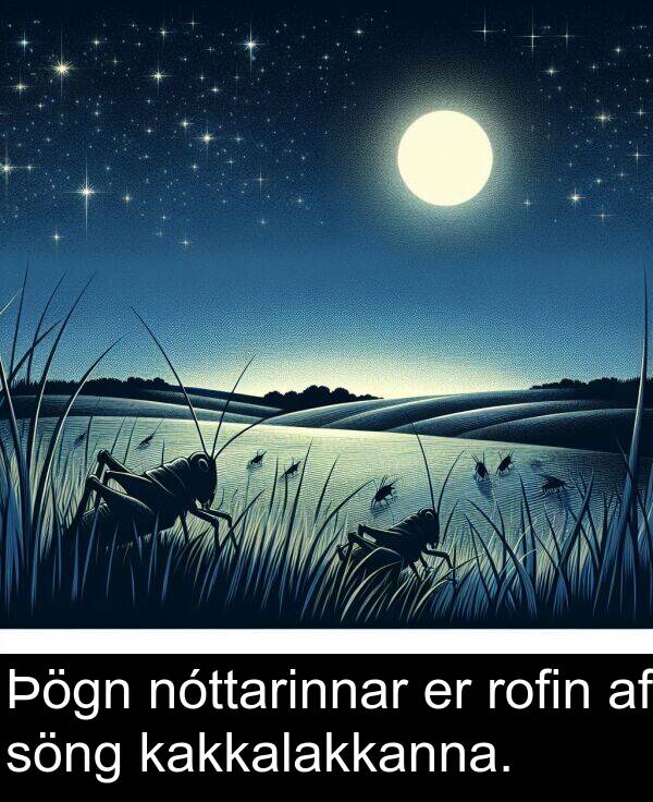 kakkalakkanna: Þögn nóttarinnar er rofin af söng kakkalakkanna.