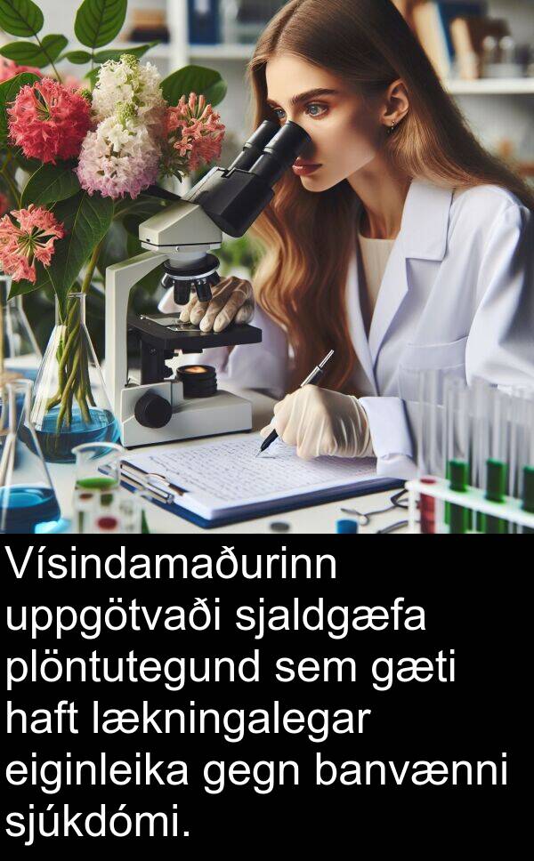 banvænni: Vísindamaðurinn uppgötvaði sjaldgæfa plöntutegund sem gæti haft lækningalegar eiginleika gegn banvænni sjúkdómi.