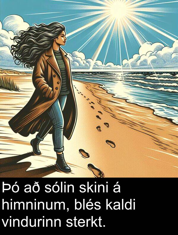 kaldi: Þó að sólin skini á himninum, blés kaldi vindurinn sterkt.