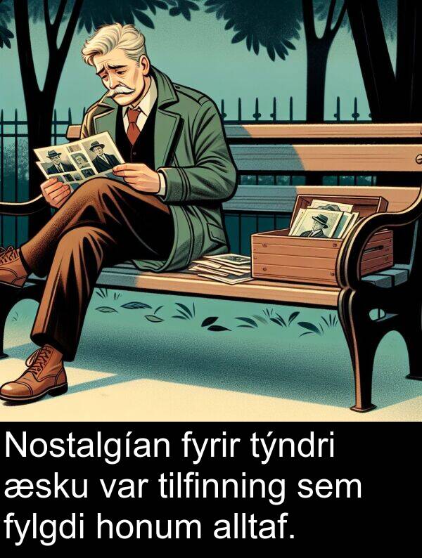 tilfinning: Nostalgían fyrir týndri æsku var tilfinning sem fylgdi honum alltaf.