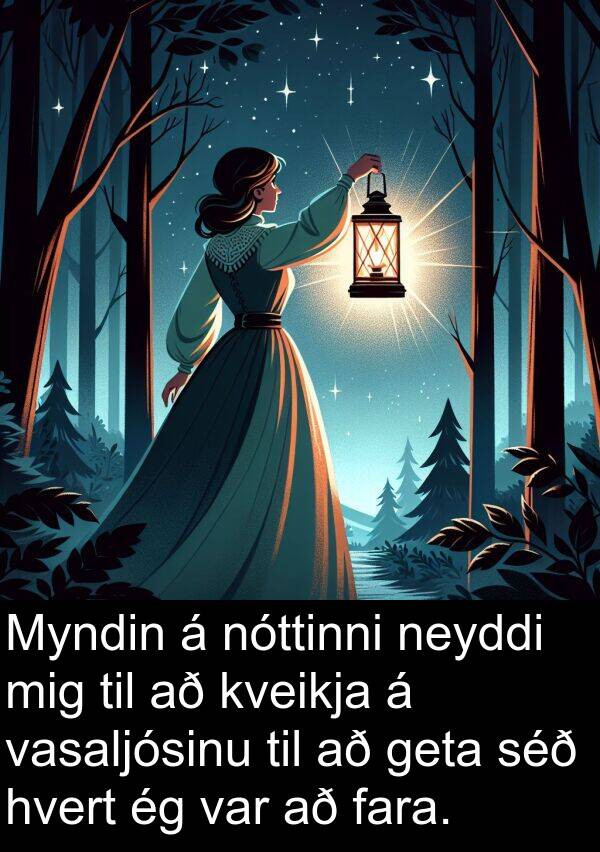geta: Myndin á nóttinni neyddi mig til að kveikja á vasaljósinu til að geta séð hvert ég var að fara.
