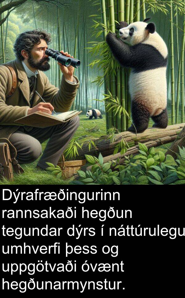 hegðunarmynstur: Dýrafræðingurinn rannsakaði hegðun tegundar dýrs í náttúrulegu umhverfi þess og uppgötvaði óvænt hegðunarmynstur.