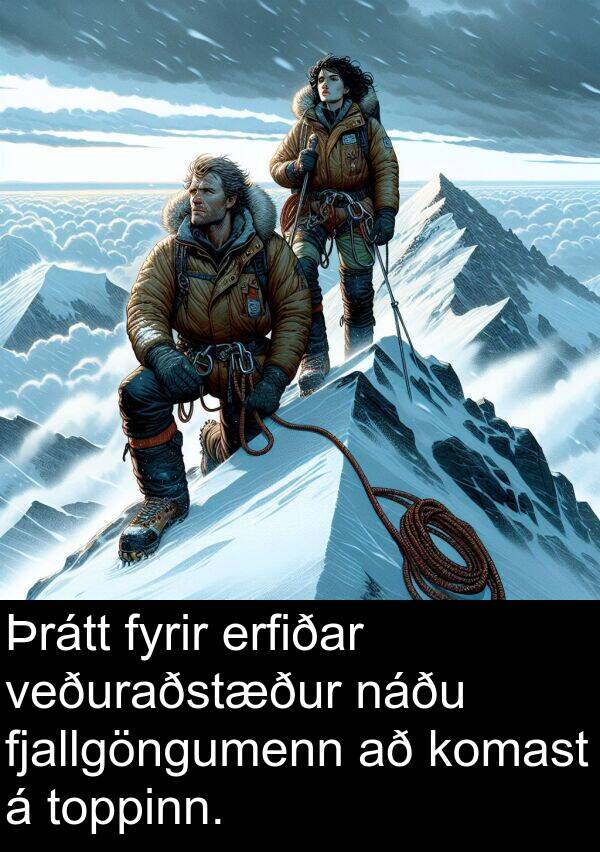 fjallgöngumenn: Þrátt fyrir erfiðar veðuraðstæður náðu fjallgöngumenn að komast á toppinn.