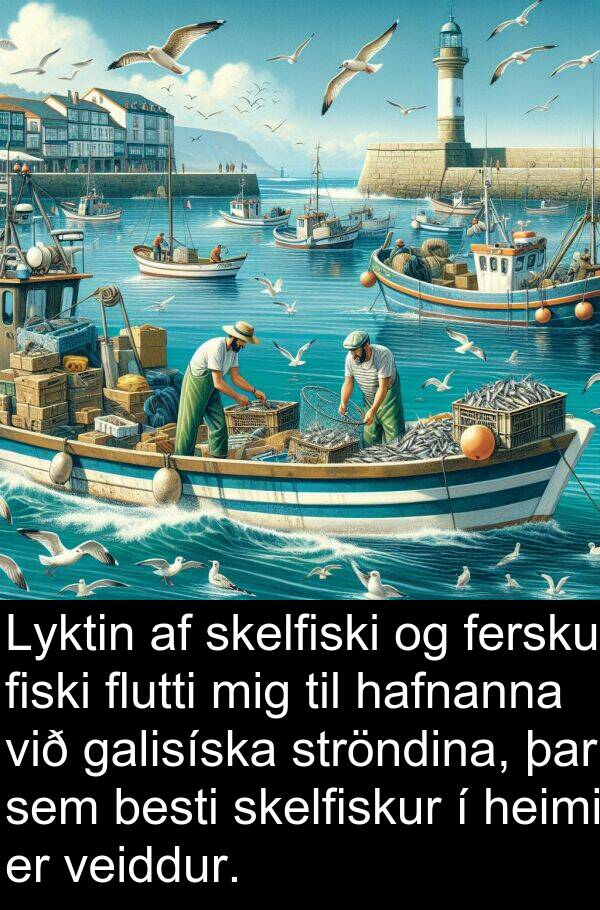 veiddur: Lyktin af skelfiski og fersku fiski flutti mig til hafnanna við galisíska ströndina, þar sem besti skelfiskur í heimi er veiddur.