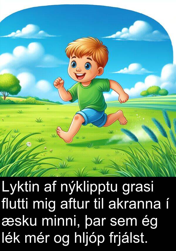 akranna: Lyktin af nýklipptu grasi flutti mig aftur til akranna í æsku minni, þar sem ég lék mér og hljóp frjálst.