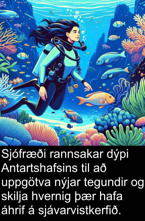 áhrif: Sjófræði rannsakar dýpi Antartshafsins til að uppgötva nýjar tegundir og skilja hvernig þær hafa áhrif á sjávarvistkerfið.