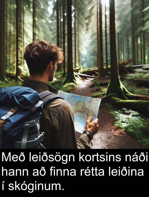 rétta: Með leiðsögn kortsins náði hann að finna rétta leiðina í skóginum.