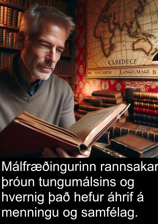 þróun: Málfræðingurinn rannsakar þróun tungumálsins og hvernig það hefur áhrif á menningu og samfélag.